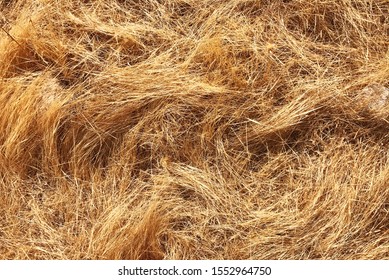 Yellow dry hay as background. Horizontal orientation. summer, autumn background. Hay texture. Hay bales are stacked in large stacks. Harvesting in agriculture. - Shutterstock ID 1552964750