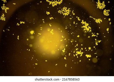 A Yellow Effervescent Tablet Dissolves In A Glass Of Water On A Black Background, A Nutritional Supplement Of Vitamins.Close-up,top View.