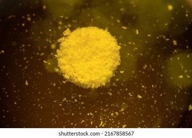 A Yellow Effervescent Tablet Dissolves In A Glass Of Water On A Black Background, A Nutritional Supplement Of Vitamins.Close-up,top View.