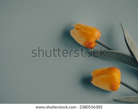 Yellow fake tulips for home decoration, close-up shot, edited in movie style.