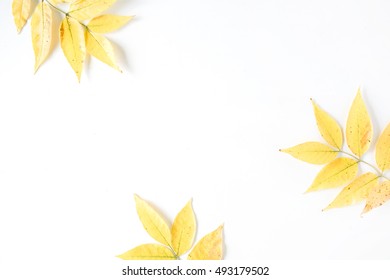 Yellow Fall Autumn Leaves. Autumn Floral Frame. Flat Lay, Top View