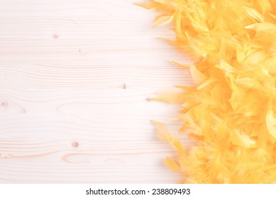 Yellow Feather Boa On Light Board On The Left With Space For Text