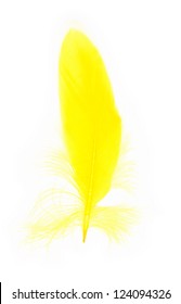 Yellow Feather Isolated On White Background