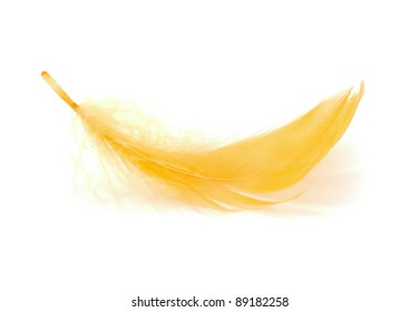 Image result for yellow feather