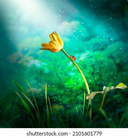 Yellow ficaria Flower and ladybug in Fantasy magical garden in enchanted fairy tale dreamy Forest, fairytale glade on mysterious midnight background, elven magic wood in night darkness with moon light