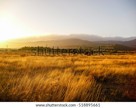 Yellow field and mountain. Sunset landscape. Dry grass field.