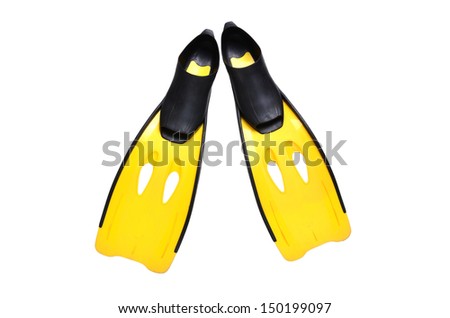 yellow fin isolated on a white background