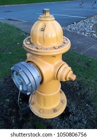 Yellow fire hydrant