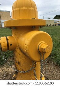 Yellow fire hydrant