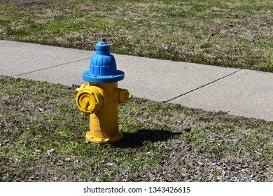 Yellow Fire Hydrant Stock Photo 1343426615 | Shutterstock