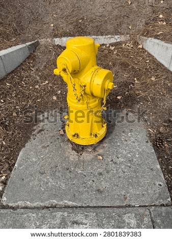 Yellow Fire Hydrant Installed On Concrete Surface