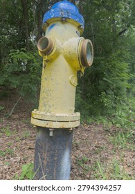 Yellow fire hydrant with missing caps, damaged urban infrastructure, Florida, USA