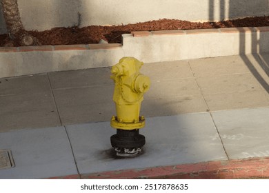 Yellow fire hydrant on paved sidewalk in San Diego California