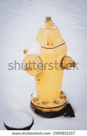 Yellow fire hydrant with snow