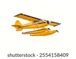 Yellow floatplane with high wings on takeoff.  Black stripe on a classic American Bush plane. Propeller driven engine propels this aircraft into flight. Retractable amphibious landing gear