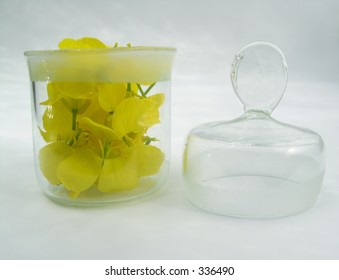 yellow flower