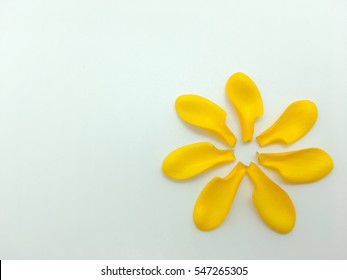 Similar Images, Stock Photos & Vectors of Four Leaf Clover - 76380577