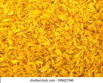 Yellow Flower Carpet Made From Marigold Petals In Thailand