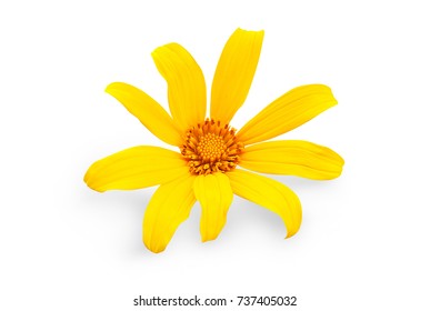 Yellow Flower Clipping Path