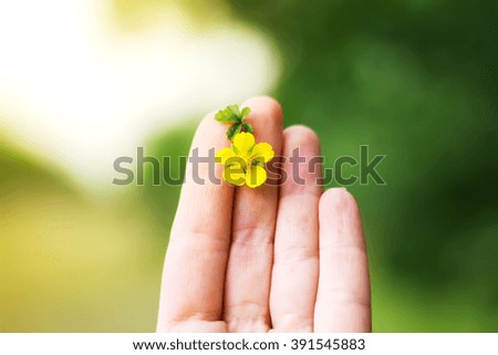 Similar – Image, Stock Photo close contact Animal Daisy