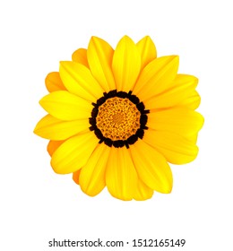 Yellow Flower Isolated On White Background