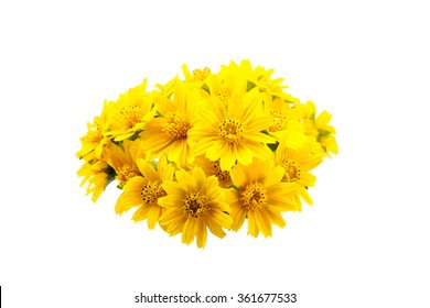 Yellow Flower Isolated On White Stock Photo 361677533 | Shutterstock