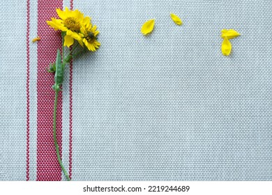 A Yellow Flower Lies On A Woven Fabric With An Embroidery Element. Heliopsis. Wicker Basket Texture. Rattan. Acrylic Fabric For Awnings.