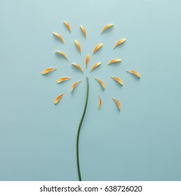 Yellow Flower Petals And Stem As Fireworks. Holiday Concept. Flat Lay.