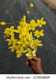 Yellow Flower Road Side Tree 