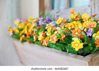 Yellow Flower In Wood Potted