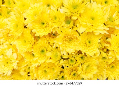 6,472,913 Flower background yellow Images, Stock Photos & Vectors