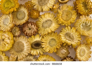 Yellow Flowers Background Stock Photo 8868658 | Shutterstock