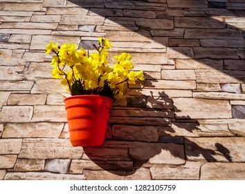 yellow flowers in a brown flower pot attached to the stone cladding wall with texture with some sunlight falling on that flower pot