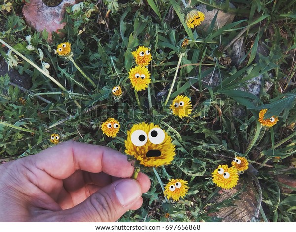 Yellow Flowers Eyes Pluck Flower Fearful Stock Photo (Edit