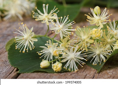 yellow flowers fragrant linden macro on a wooden table. horizontal 