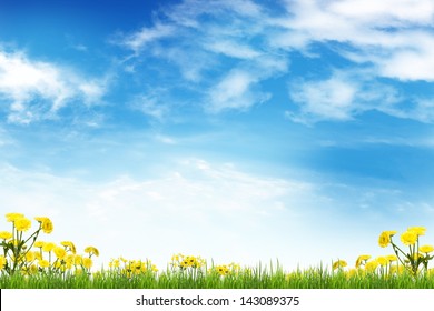 Yellow flowers and Green grass against the sky