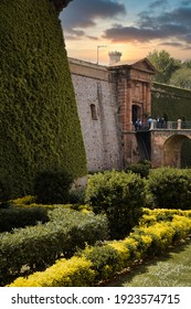 Yellow Flowers And Green Vegetation  - Montjuïc Castle Barcelona