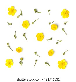  Yellow Flowers Pattern On White Background. Flat Lay.