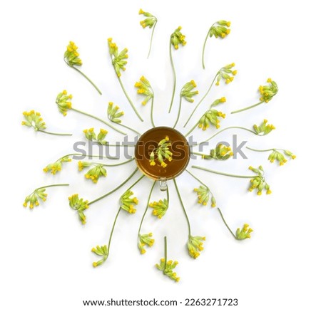 Yellow flowers Primula veris ( cowslip, petrella, herb peter, paigle, peggle, key flower, Primula officinalis Hill ), cup herbal tea on a white background. Top view, flat lay