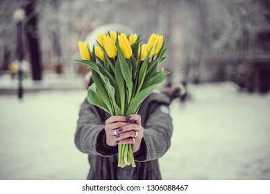 Yellow flowers tulips in the hands of a girl. Snow, winter landscape. Background to Valentine's Day and March 8th. 
