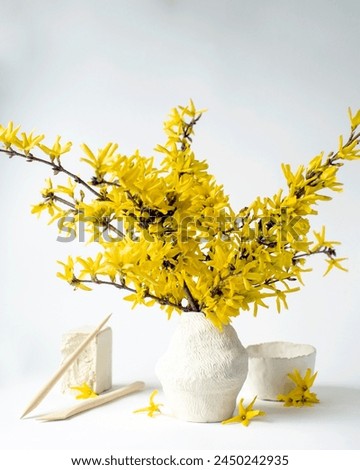 Yellow forsythia flowers in a handmade vase with clay and tools for making vases on a white background.