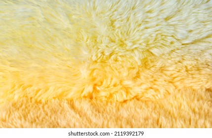 Yellow Fur Texture Close Up Fur Background Use Backdrop Design