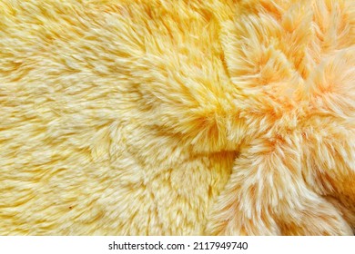 Yellow Fur Texture Close-up Beautiful Abstract Feather Background