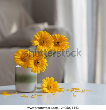 yellow gerbera in ceramic vase in light living room