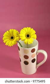 Yellow Gerbera Daises In A Polka Dot Cup