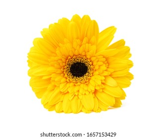 黄色い花 の画像 写真素材 ベクター画像 Shutterstock