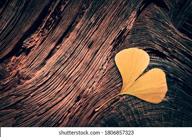 Yellow ginkgo biloba leaf in the shape of a heart on wood trunk background in autumn