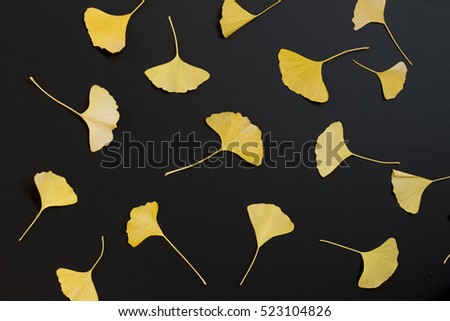 Yellow Ginkgo leaf on black background, flat lay, top view