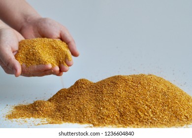 Yellow Gold Corn Distiller's Dried Grains With Solubles (DDGS) The Nutrient Rich Co-product Of Dry -milled Ethanol .The Biofuel Plants Are A Growing Source