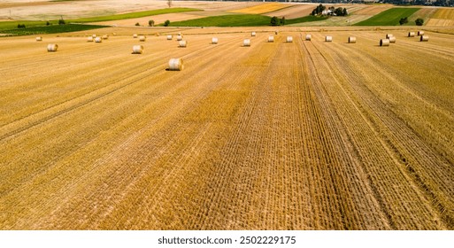 Yellow golden straw bales of hay in the stubble field. Hay bales on agriculture field after harvest on a sunny summer day - Powered by Shutterstock